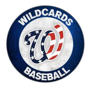 289492349 5689084764459265 4079437893782164863 n